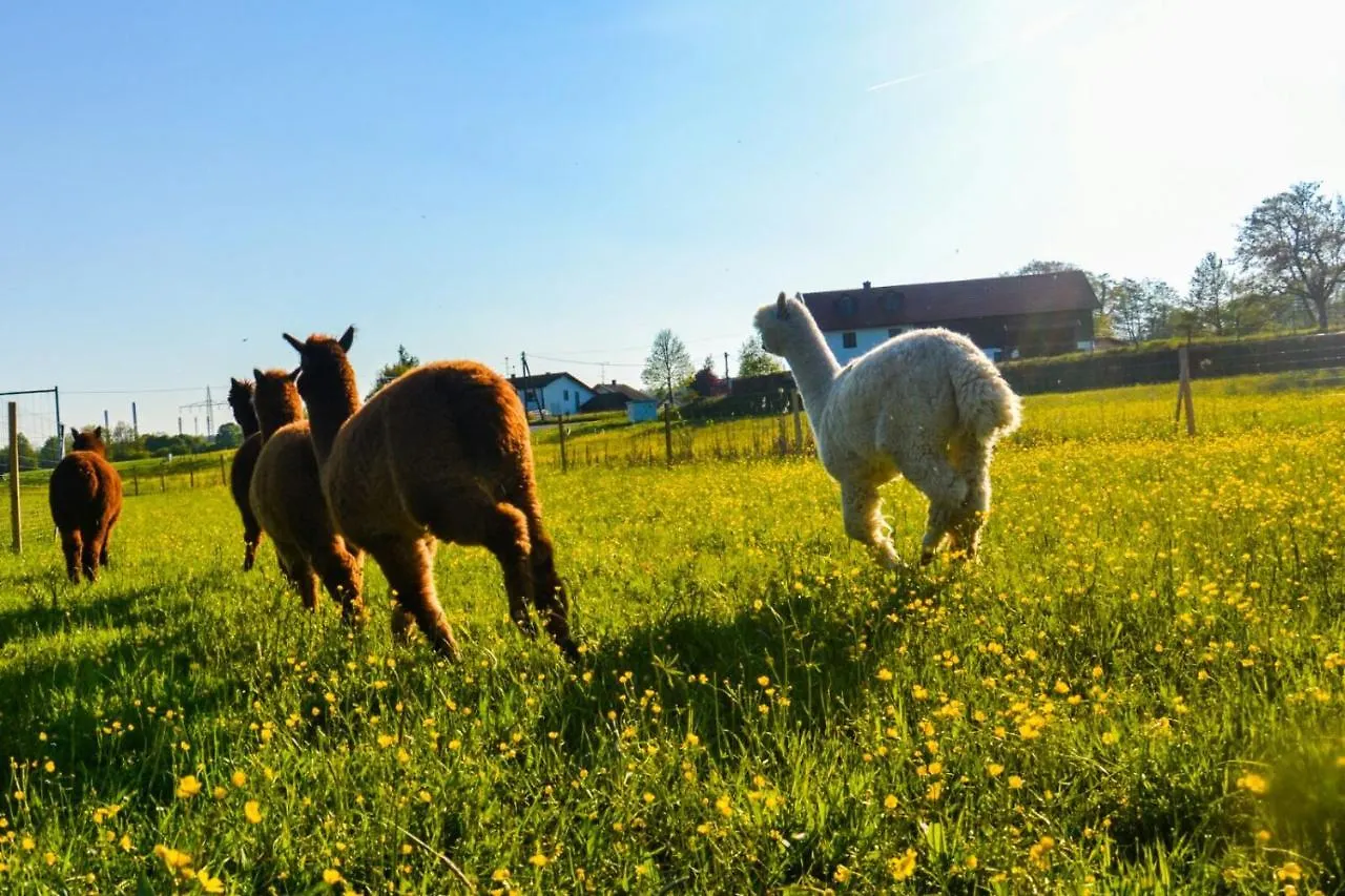 Ferienwohnung Niedergerner Alpaka Ranch Haiming 0*,